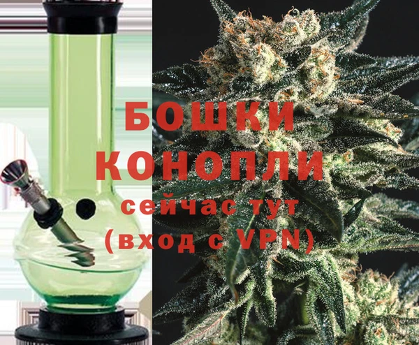 сатива Магас